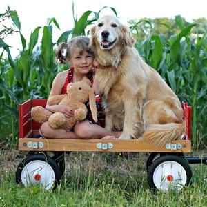 Meet your Posher, Lani